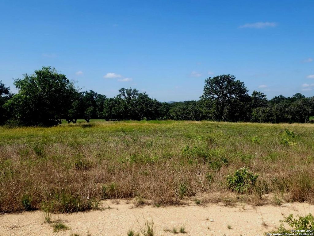 Photo of 773 ANNABELLE AVE, Bulverde, TX 78163 (MLS # 1793371)