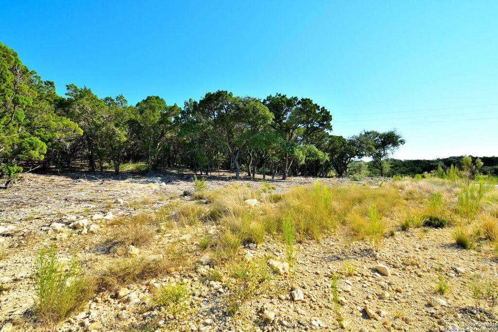Photo of 000 W Private Road 1708, Mico, TX 78056 (MLS # 1915686)