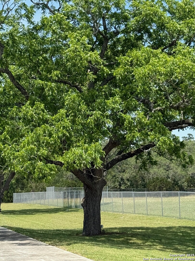 00 Pecan Ranch