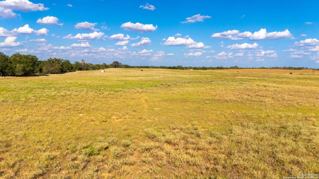 Photo of 59.89 ACRES Bynum Road, Floresville, TX 78114 (MLS # 1894621)
