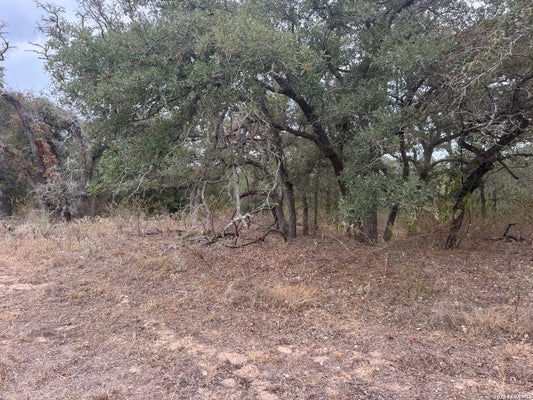 133 WHITE HORSE LN, STOCKDALE, TX 78160 - Image e5bc8d99316e256d2ebb36151b7b39bb/4196393291