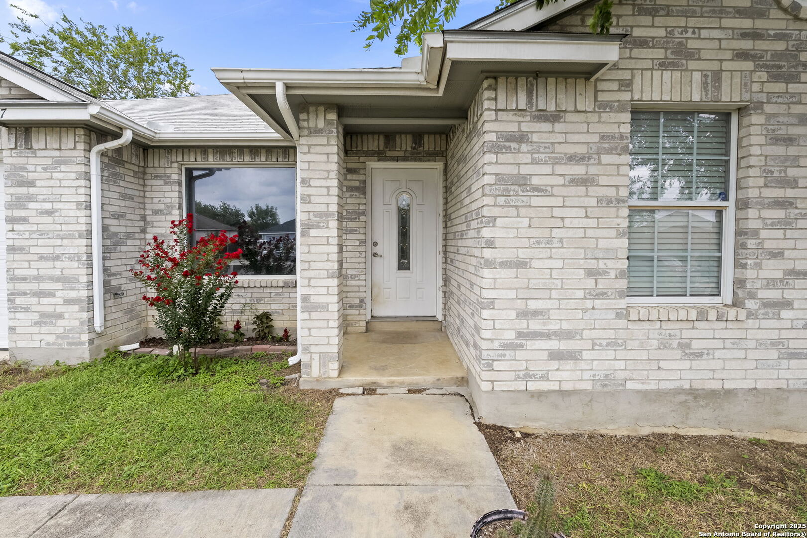 5927 Tree View