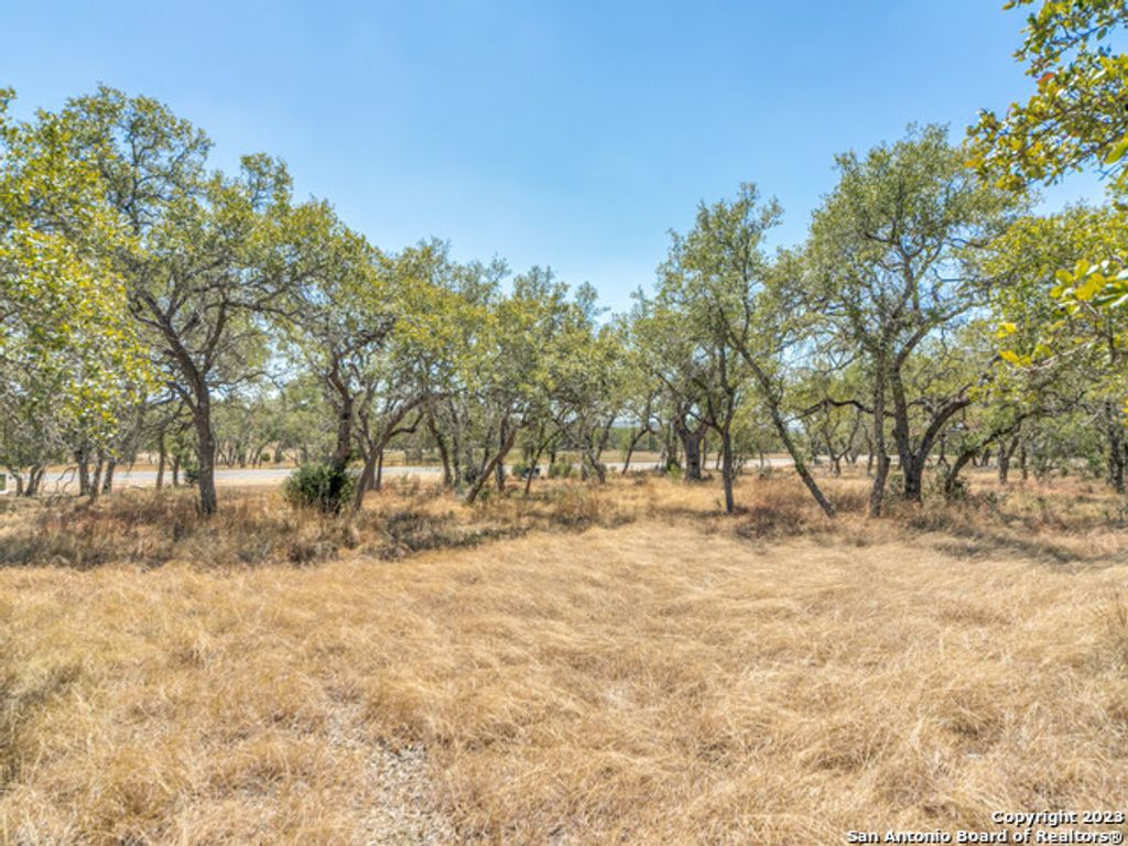 Photo of 680 ANNABELLE AVE, Bulverde, TX 78163 (MLS # 1925410)