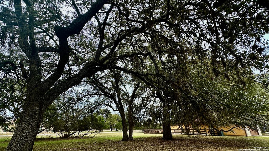 Photo of 000 Tawny Oak, Bandera, TX 78003 (MLS # 1844229)