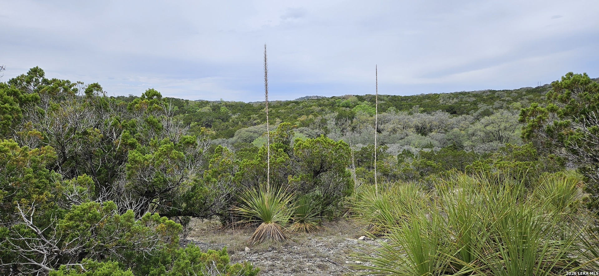 21207 Scenic Loop