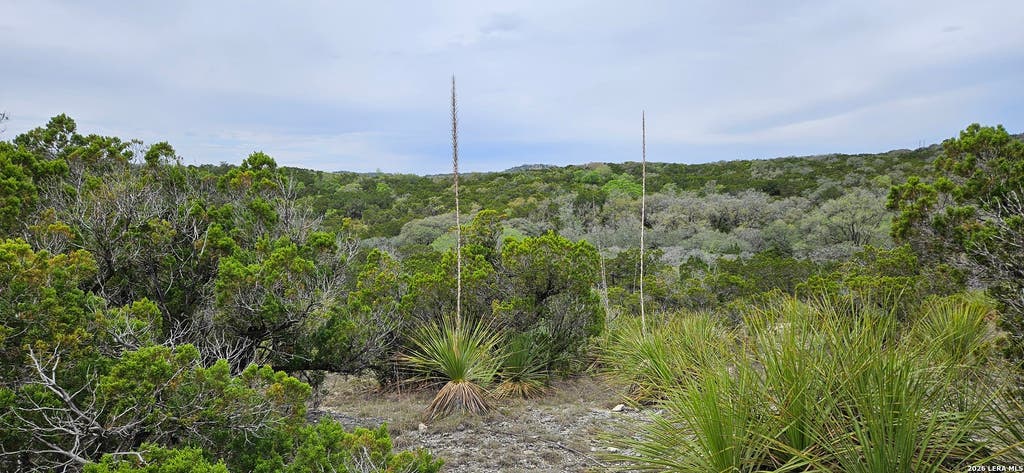 Photo of 21207 Scenic Loop, Helotes, TX 78023 (MLS # 1967436)