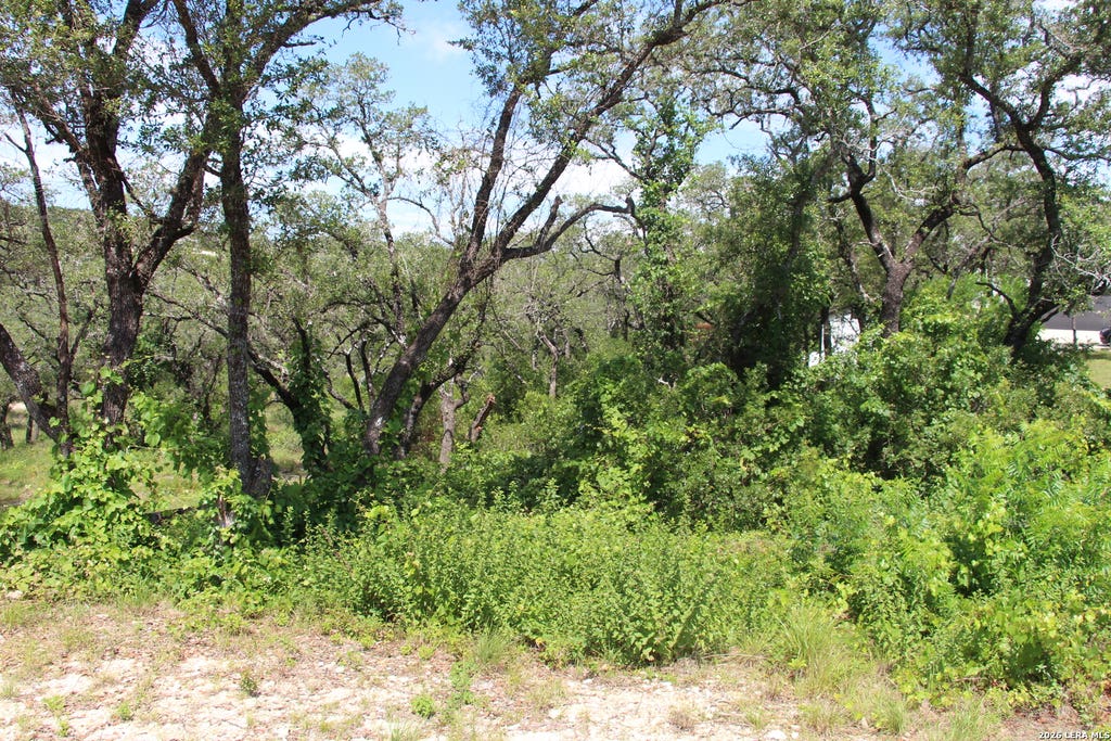 Photo of LOT 52 Clear Water Cyn, Helotes, TX 78023 (MLS # 1940583)