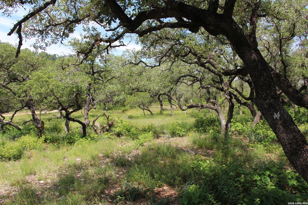Photo of LOT 52 Clear Water Cyn, Helotes, TX 78023 (MLS # 1940583)