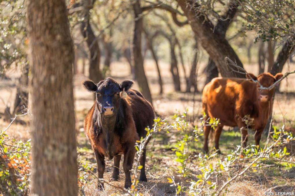 4772-1 County Road 340