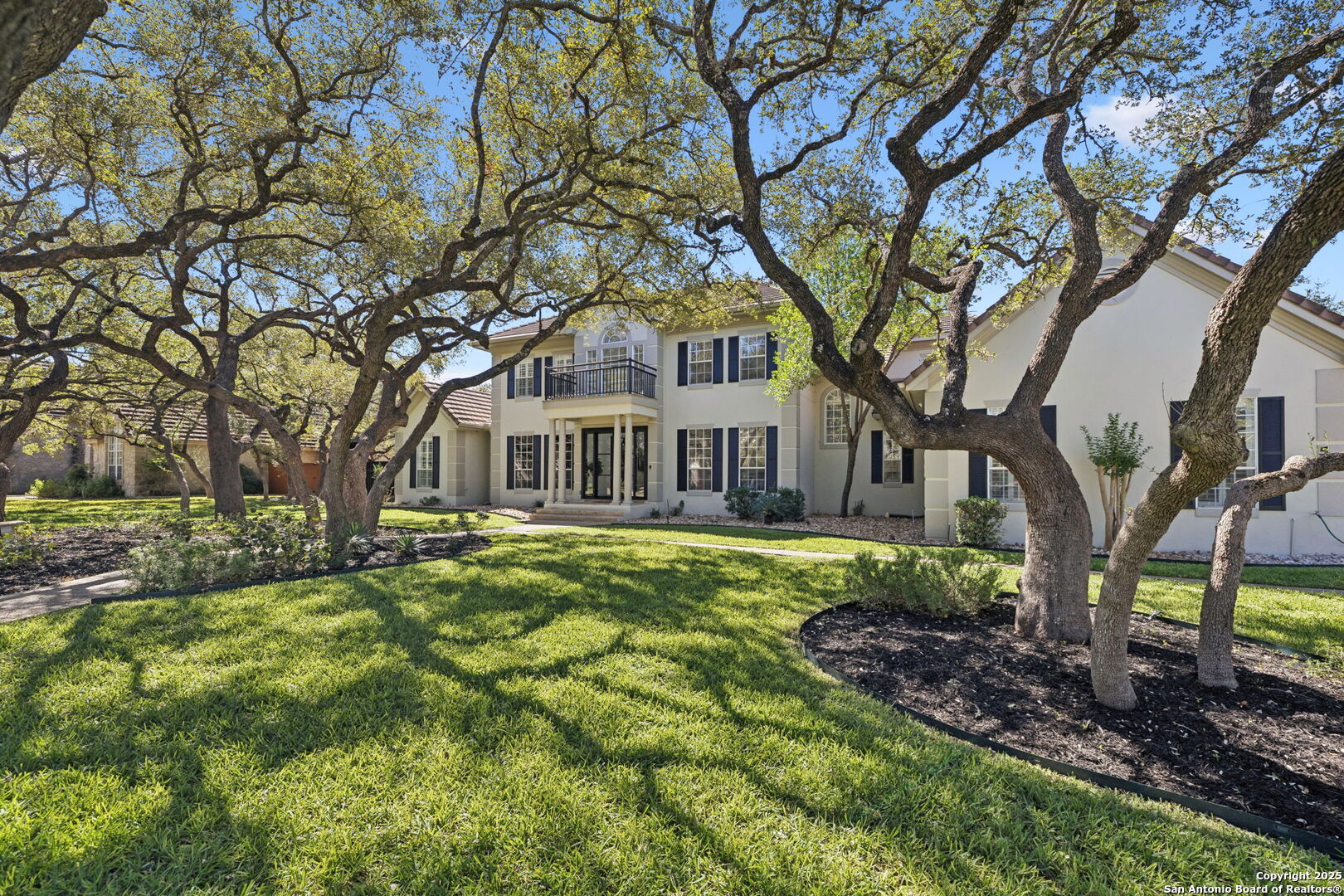 512 Blackjack Oak