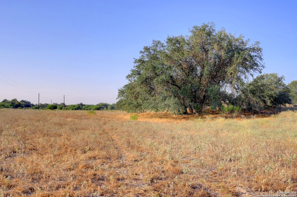 Photo of 353 pr dax, Pleasanton, TX 78064 (MLS # 1909388)