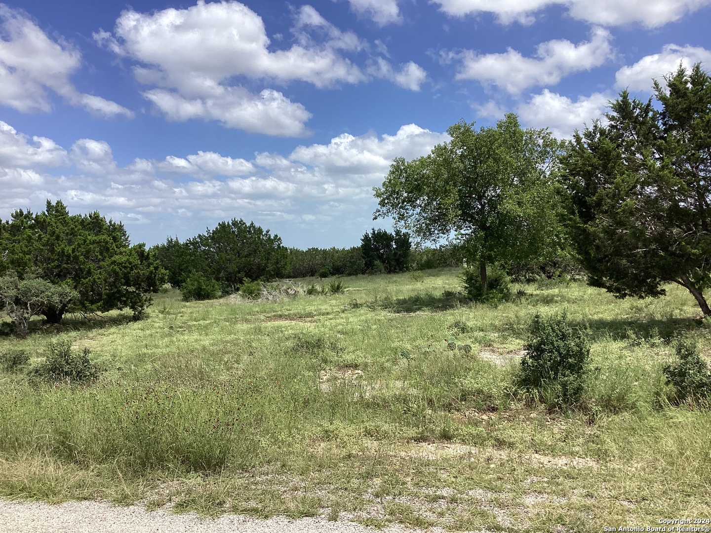 304 white oak
