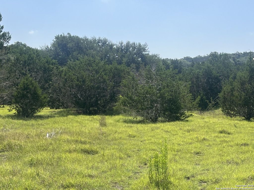 Photo of 1809 desiree, Canyon Lake, TX 78133 (MLS # 1872115)