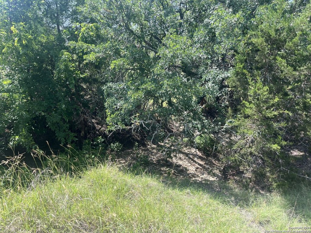 Photo of 1809 desiree, Canyon Lake, TX 78133 (MLS # 1872115)