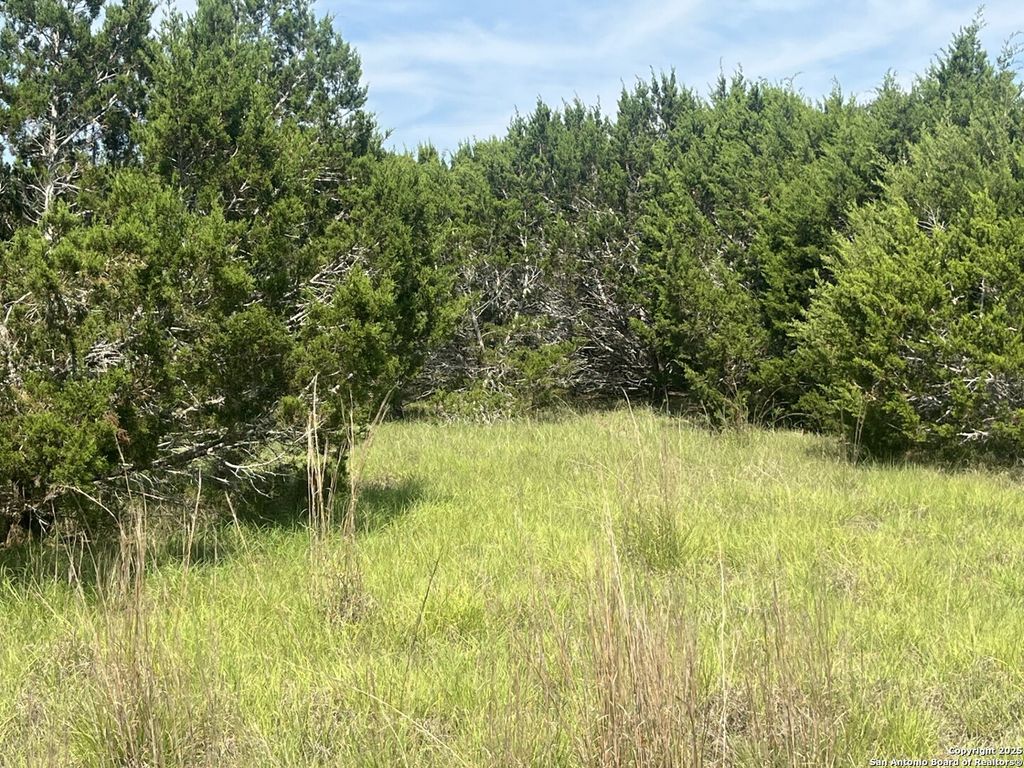 Photo of 1809 desiree, Canyon Lake, TX 78133 (MLS # 1872115)