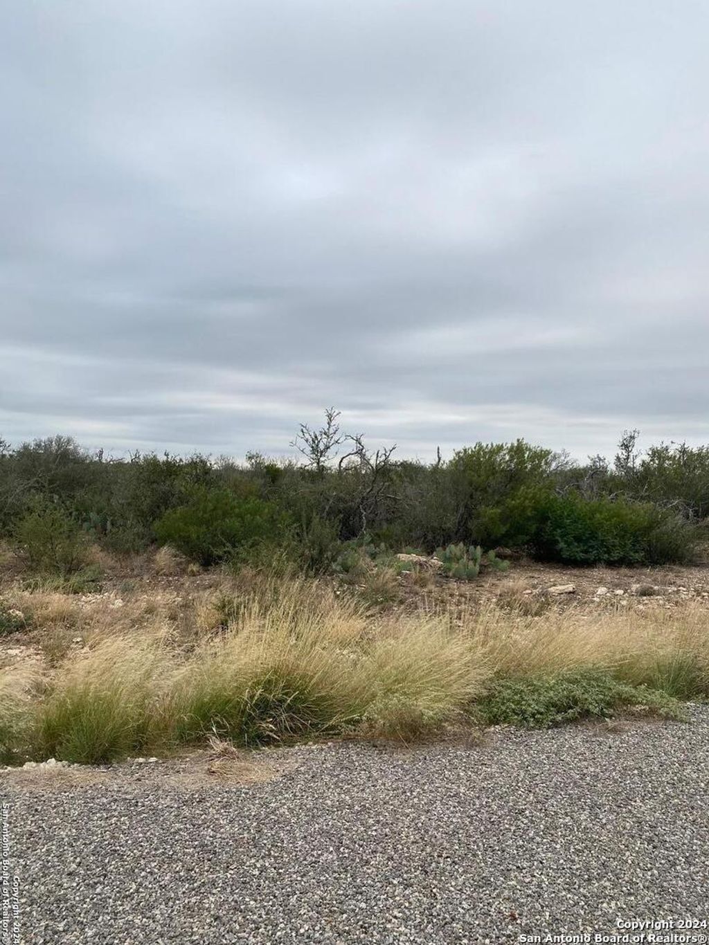 Photo of 30 ROCKY HILLS CIR, Uvalde, TX 78801 (MLS # 1816909)