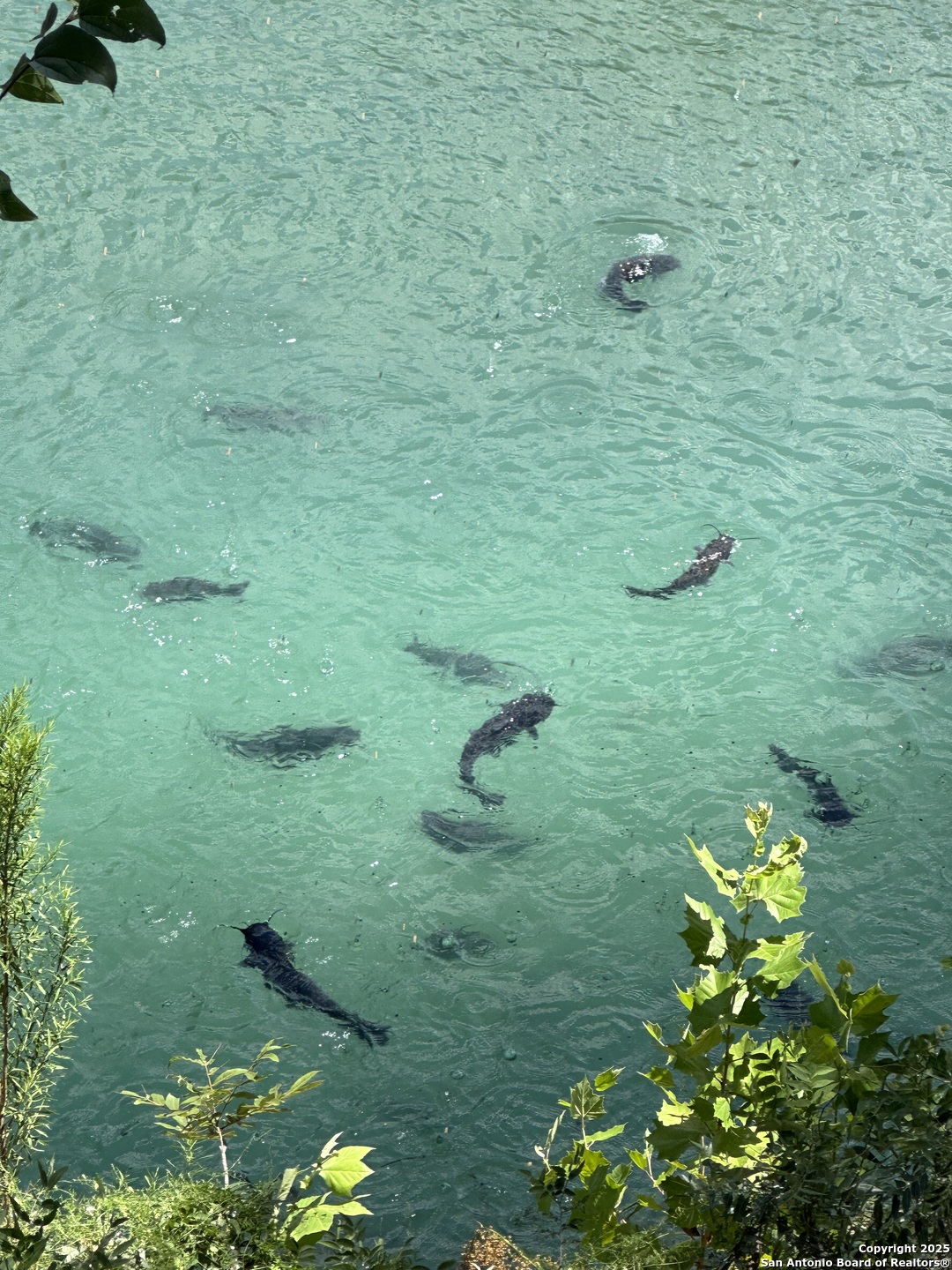 3100 Ranch Road 2631