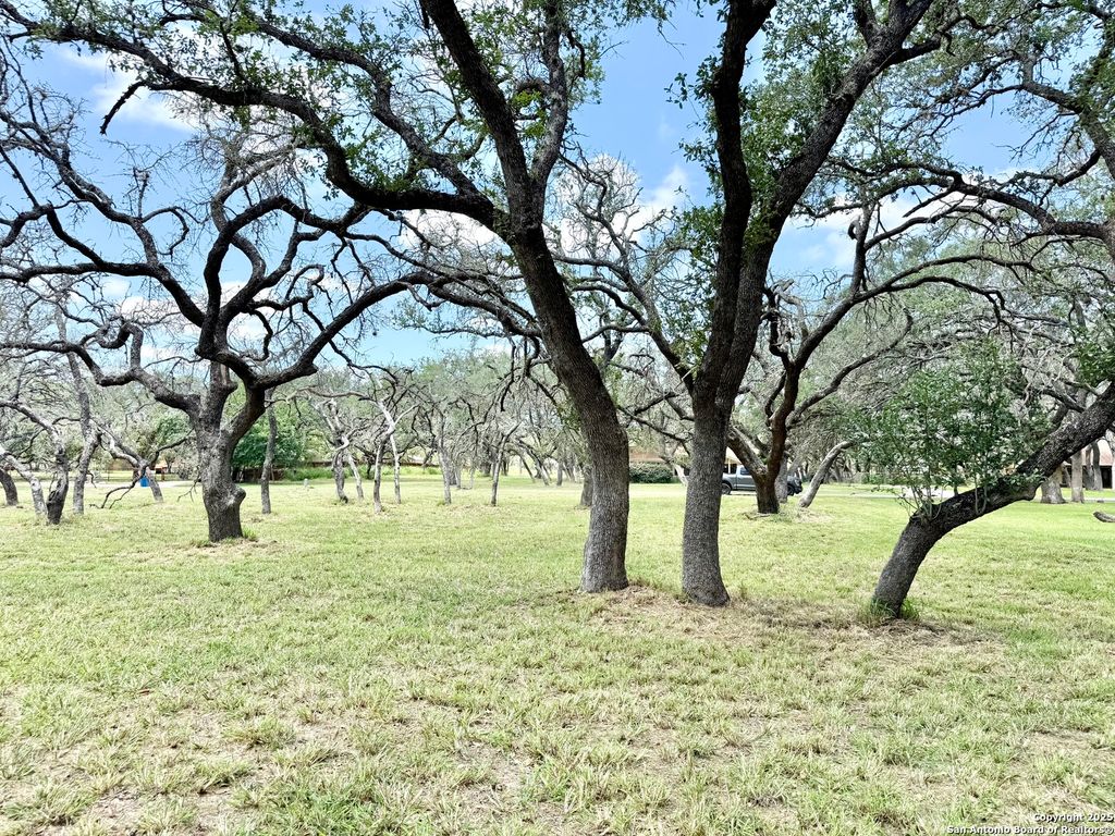 Photo of LOT 53A Massad, Pleasanton, TX 78064 (MLS # 1870815)