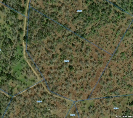 TBD PR 2221, NIXON, TX 78140 - Image eae732b910f649ecf045e1a51b1d6f0e/3504022897