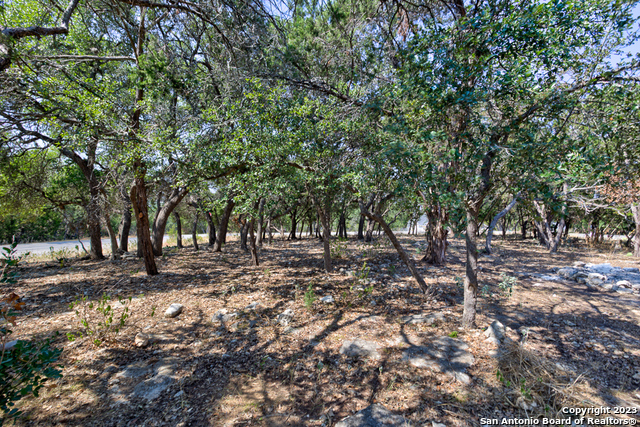 Canyon Lake, Texas 78133, United States, 3 Bedrooms Bedrooms, ,3 BathroomsBathrooms,Residential,Active,70895