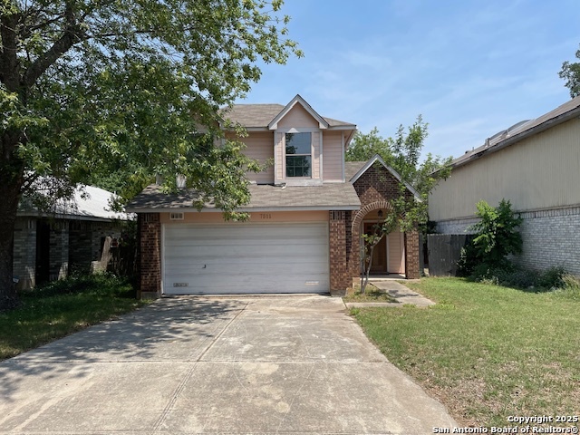 7511 Beaver Tree