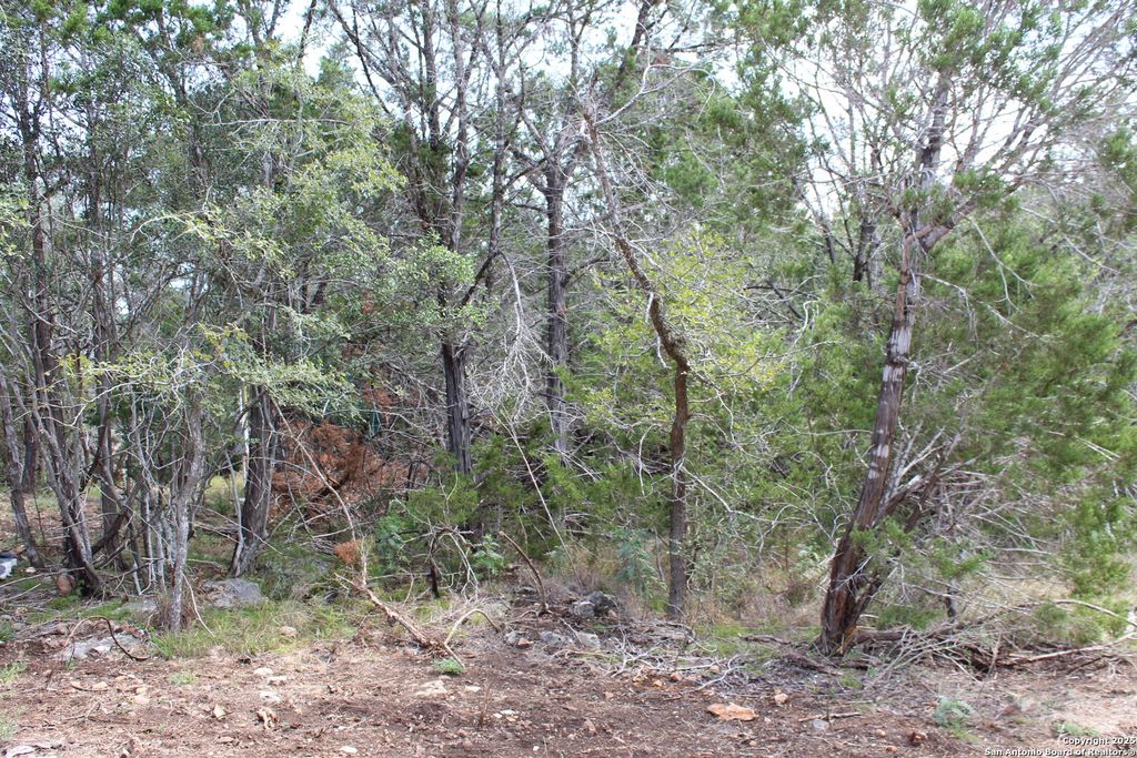 Photo of 151 eden ranch, Canyon Lake, TX 78133 (MLS # 1907910)