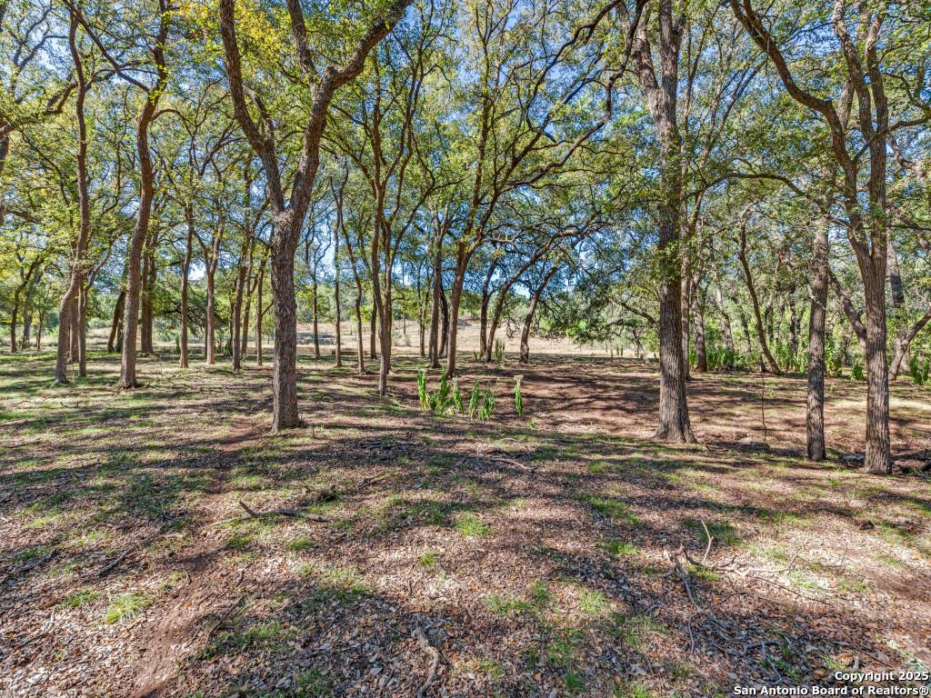Photo of 24209 Scenic Loop, San Antonio, TX 78255 (MLS # 1915952)