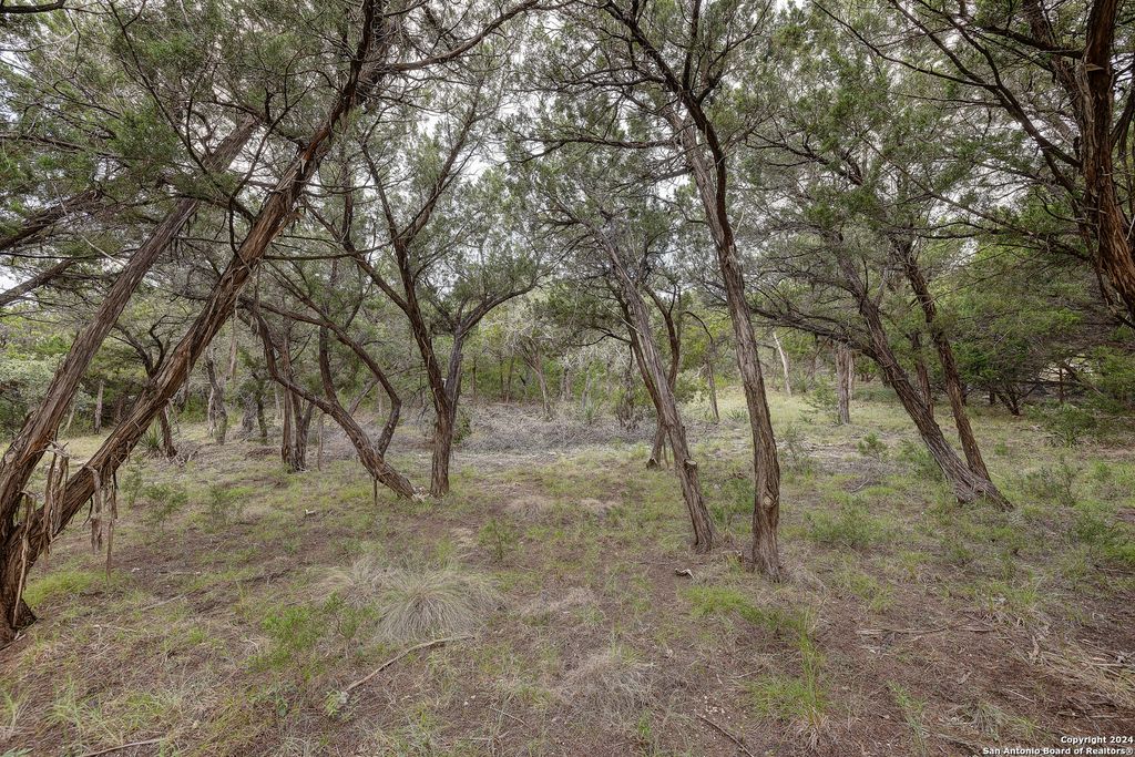 Photo of 11411 Anaqua Springs, Boerne, TX 78006 (MLS # 1929450)