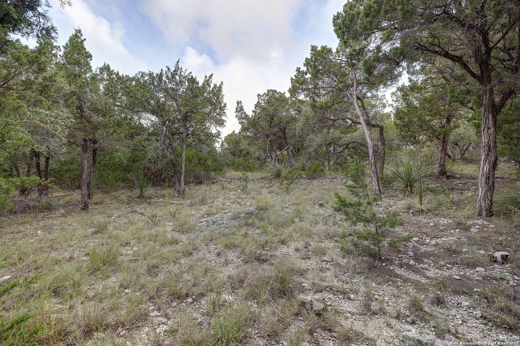 Photo of 11411 Anaqua Springs, Boerne, TX 78006 (MLS # 1929450)