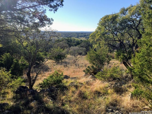 449 COYOTE TRAIL, SPRING BRANCH, TX 78070 - Image eea9bf1758d5d9700988b78fa3fc7d8e/2892591551