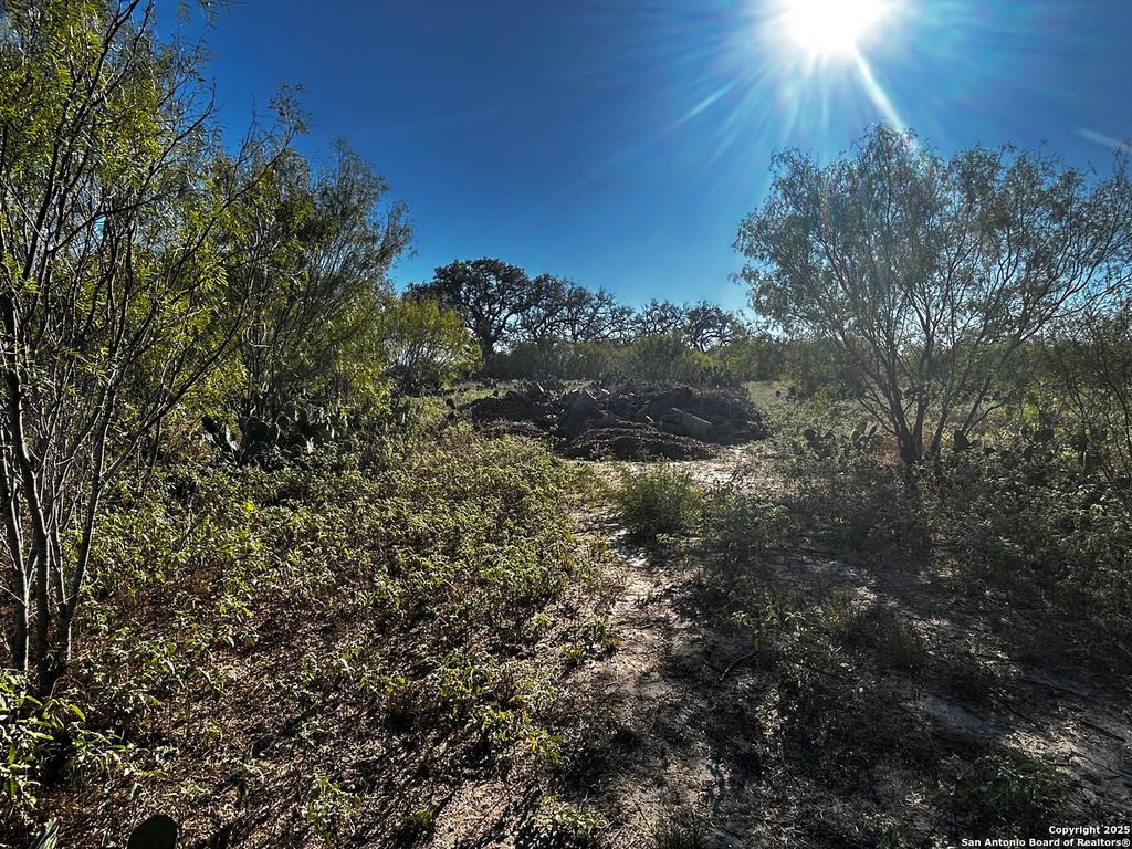 Photo of TBD County Road 777, Devine, TX 78016 (MLS # 1920558)