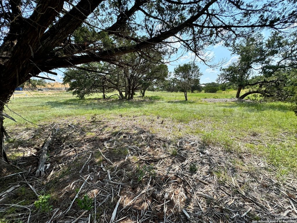 Photo of 34707 Deeanne Valley Trl, Bulverde, TX 78163 (MLS # 1795300)