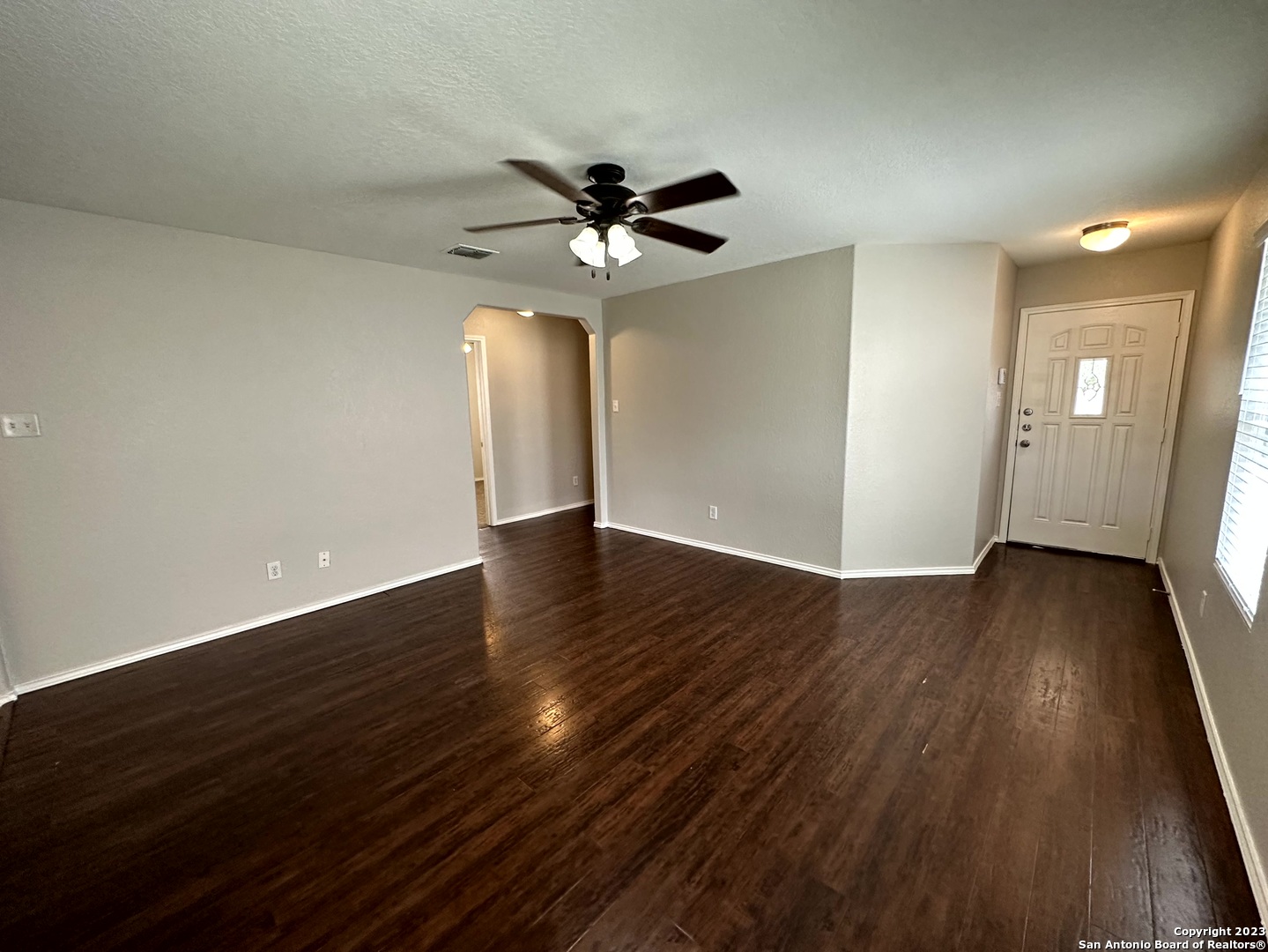 12206 Mountain Pine