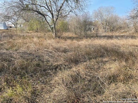 606 CEDAR ST, JOURDANTON, TX 78026 - Image efc858bfa5e5a114a0b62b772ca7aa72/1272466623