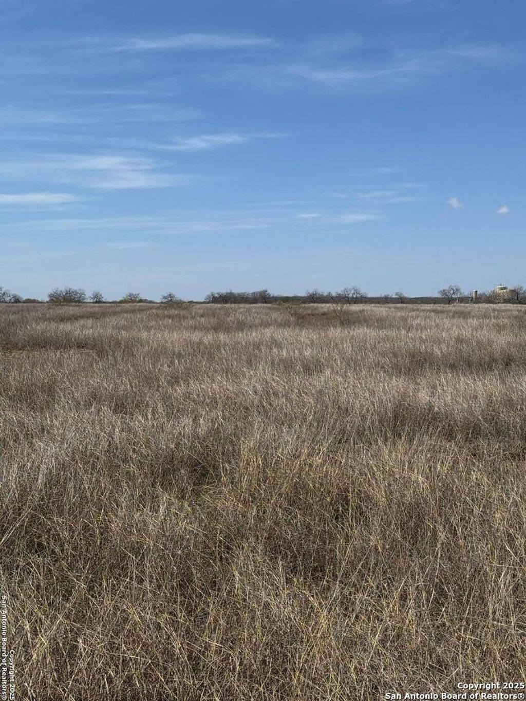 Photo of TRACT 1 County Road 422, Pleasanton, TX 78064 (MLS # 1846435)