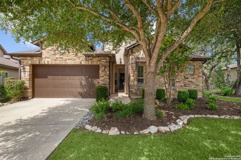 22551 Alabado San Antonio TX 78261
