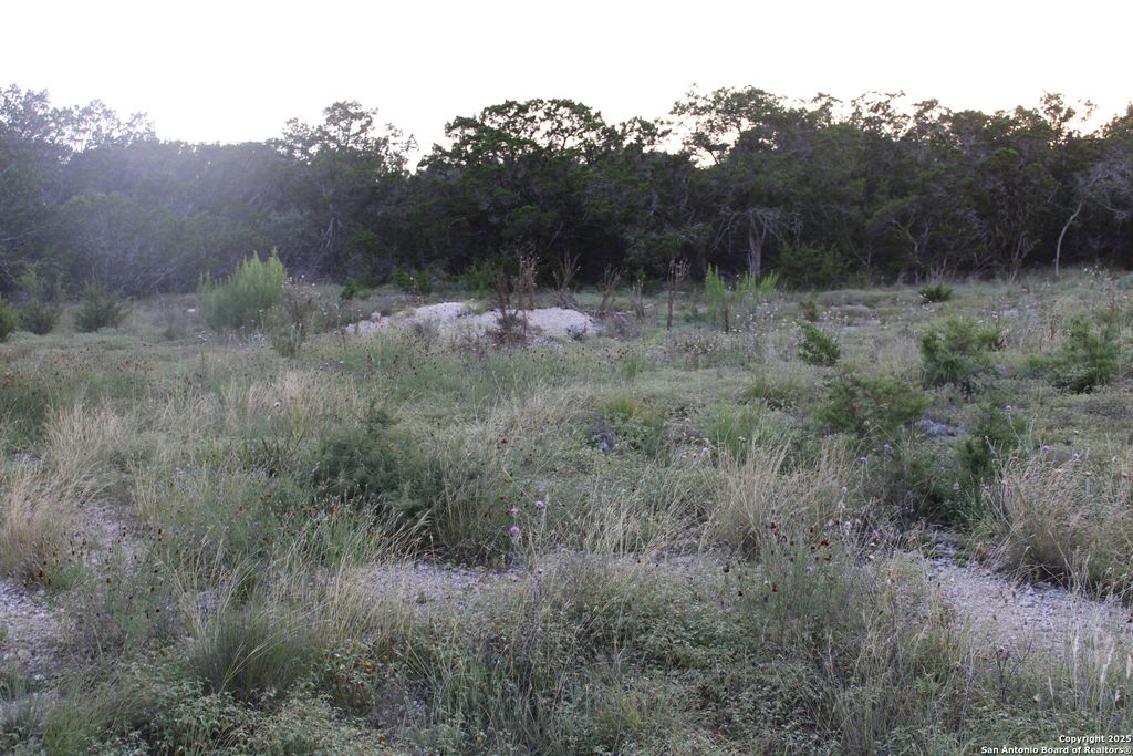 Photo of 2025 Fuller Dr., Canyon Lake, TX 78133 (MLS # 1878223)