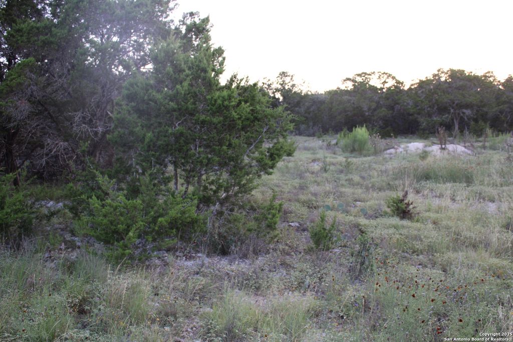 Photo of 2025 Fuller Dr., Canyon Lake, TX 78133 (MLS # 1878223)