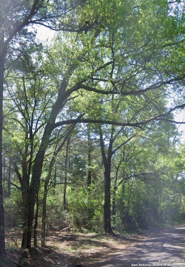 4042 County Road 789