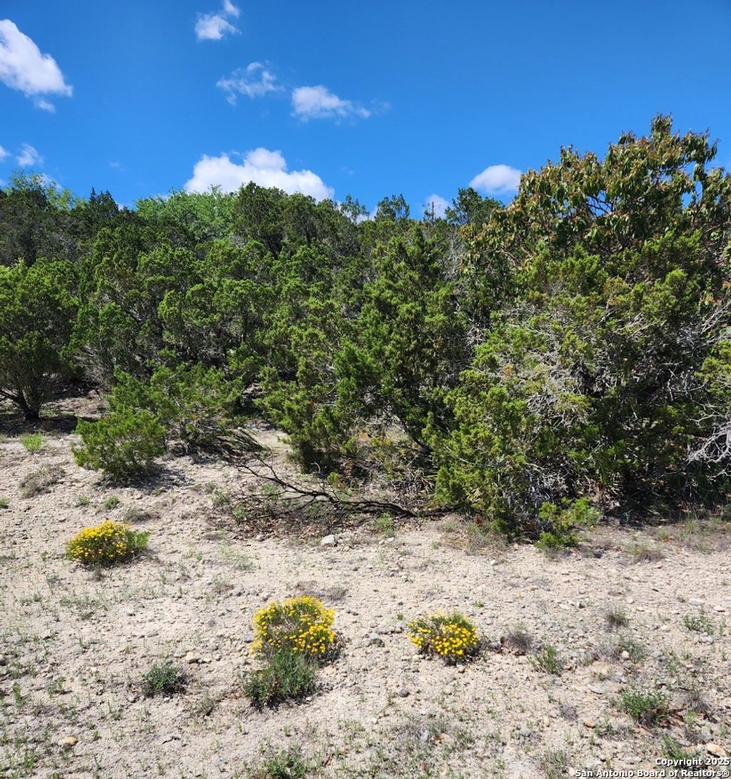 Photo of 268 Scenic Hills, Canyon Lake, TX 78133 (MLS # 1873988)