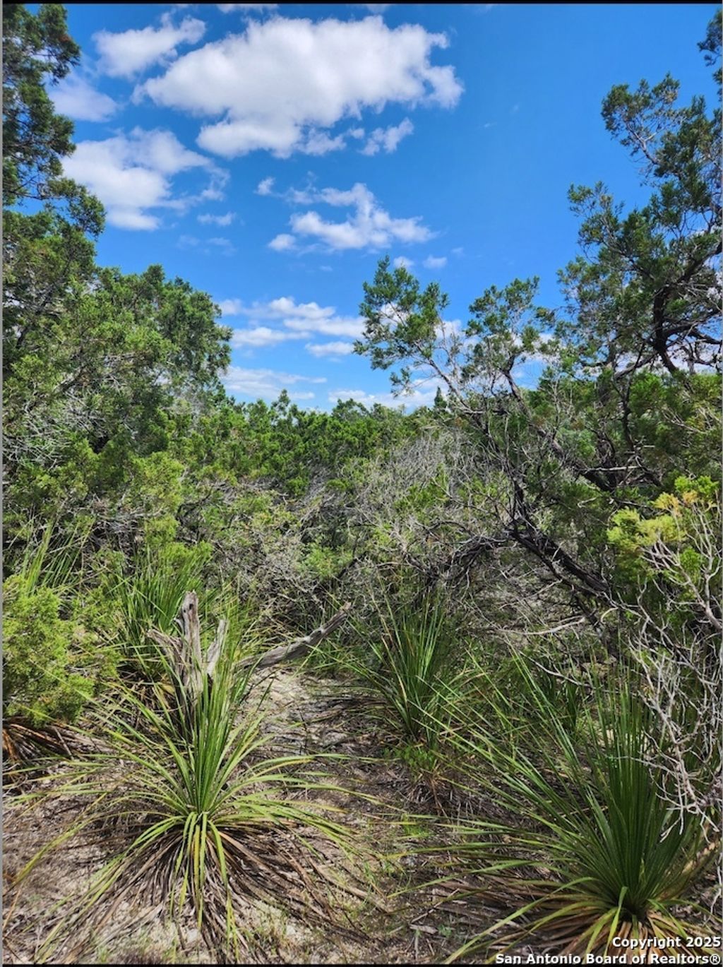 Photo of 268 Scenic Hills, Canyon Lake, TX 78133 (MLS # 1873988)