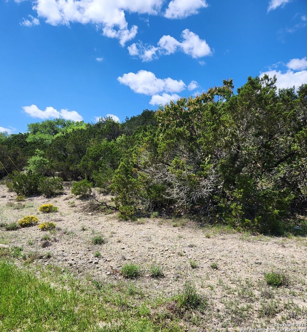 Photo of 268 Scenic Hills, Canyon Lake, TX 78133 (MLS # 1873988)