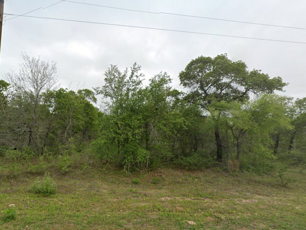Photo of LOT 106 Red Fox, Poteet, TX 78065 (MLS # 1889417)