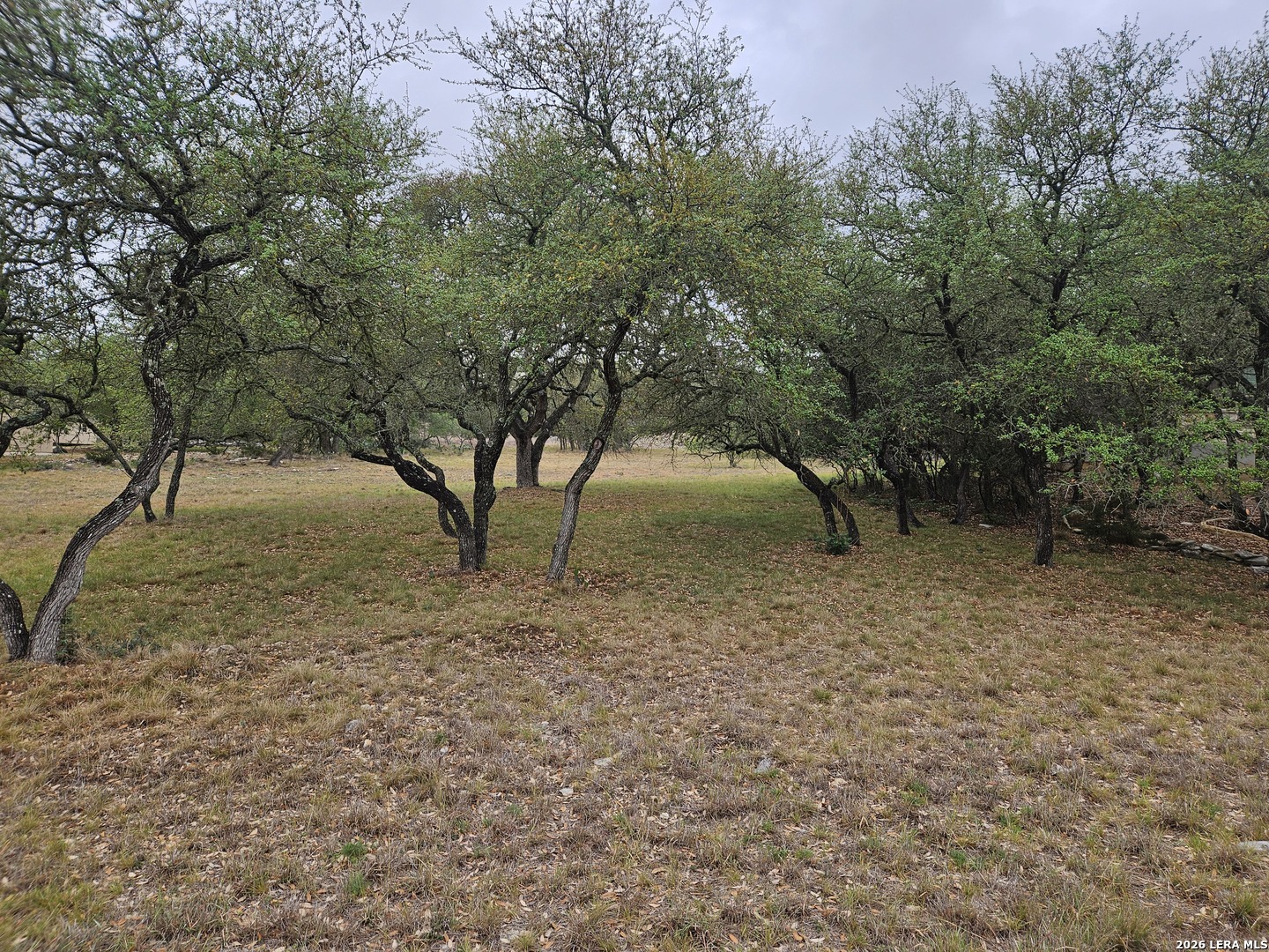 263 Paradise Hills