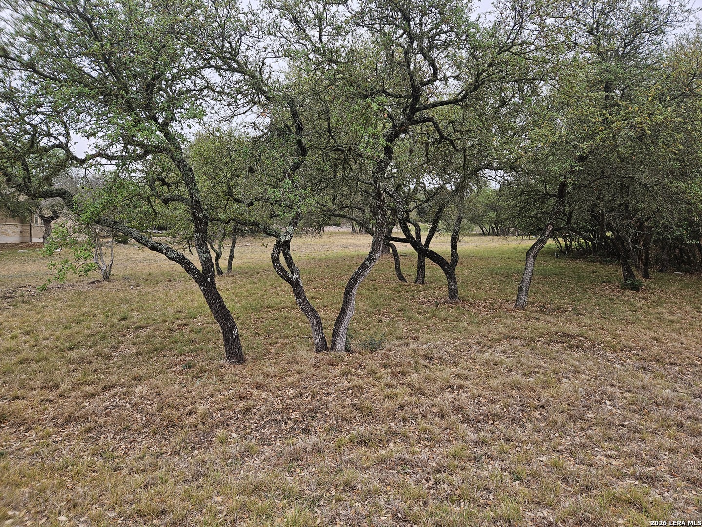 263 Paradise Hills