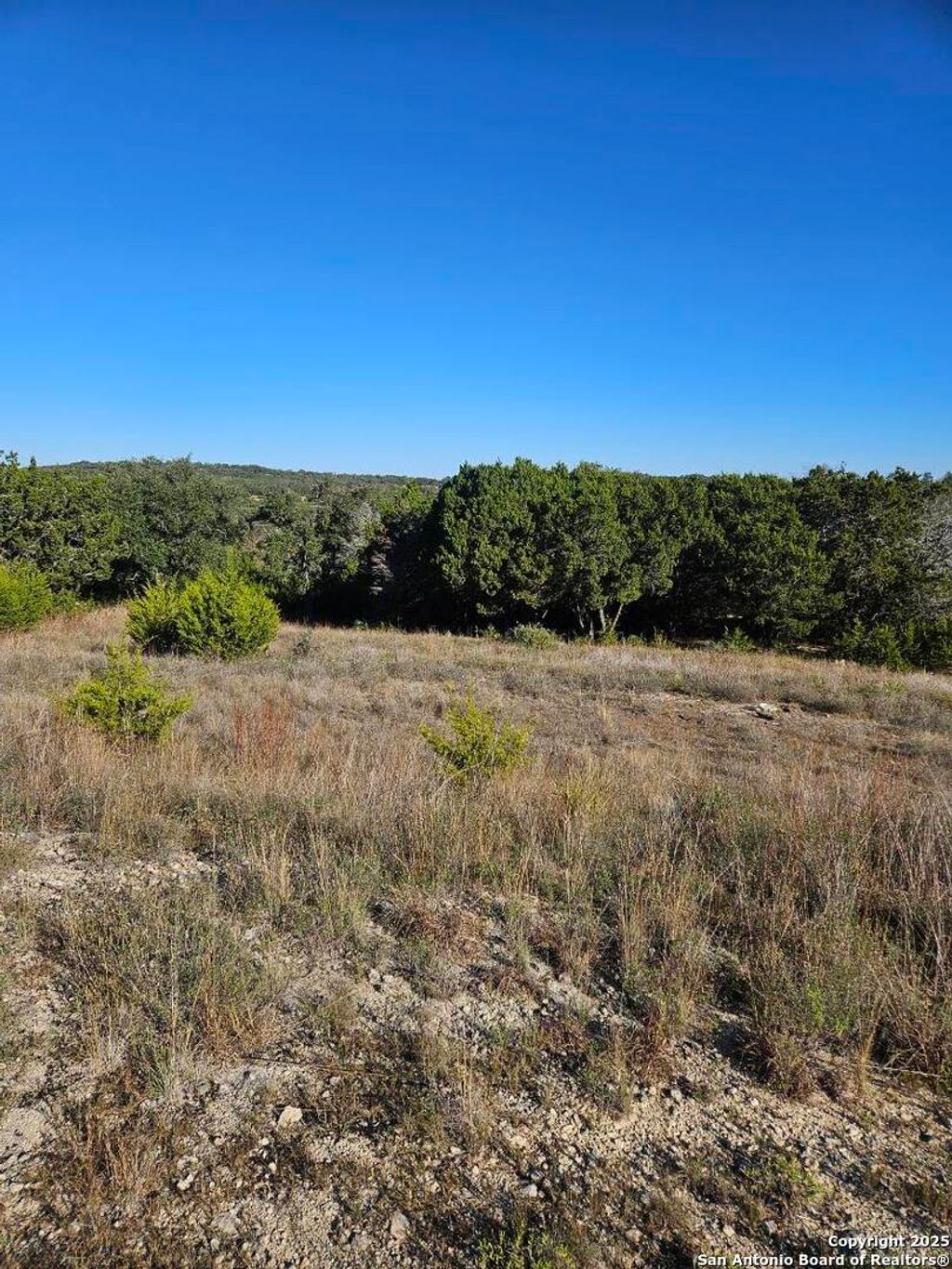 Photo of 2385 Comal Spgs, Canyon Lake, TX 78133 (MLS # 1923997)