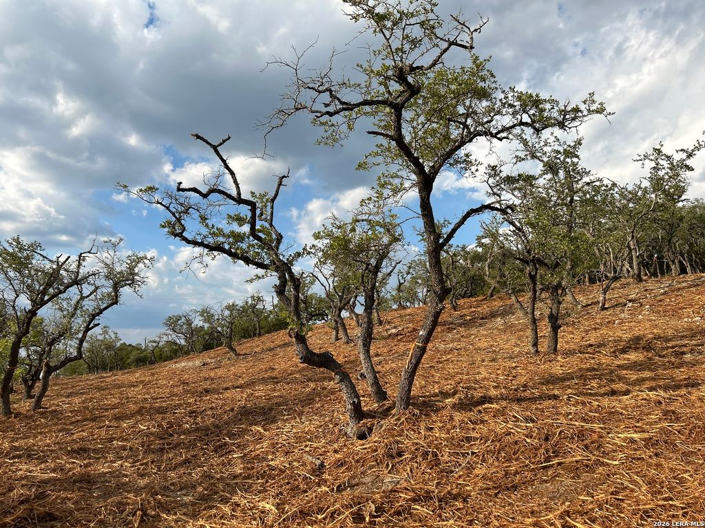 Photo of 34780 Ansley Ridge, Bulverde, TX 78163 (MLS # 1941788)