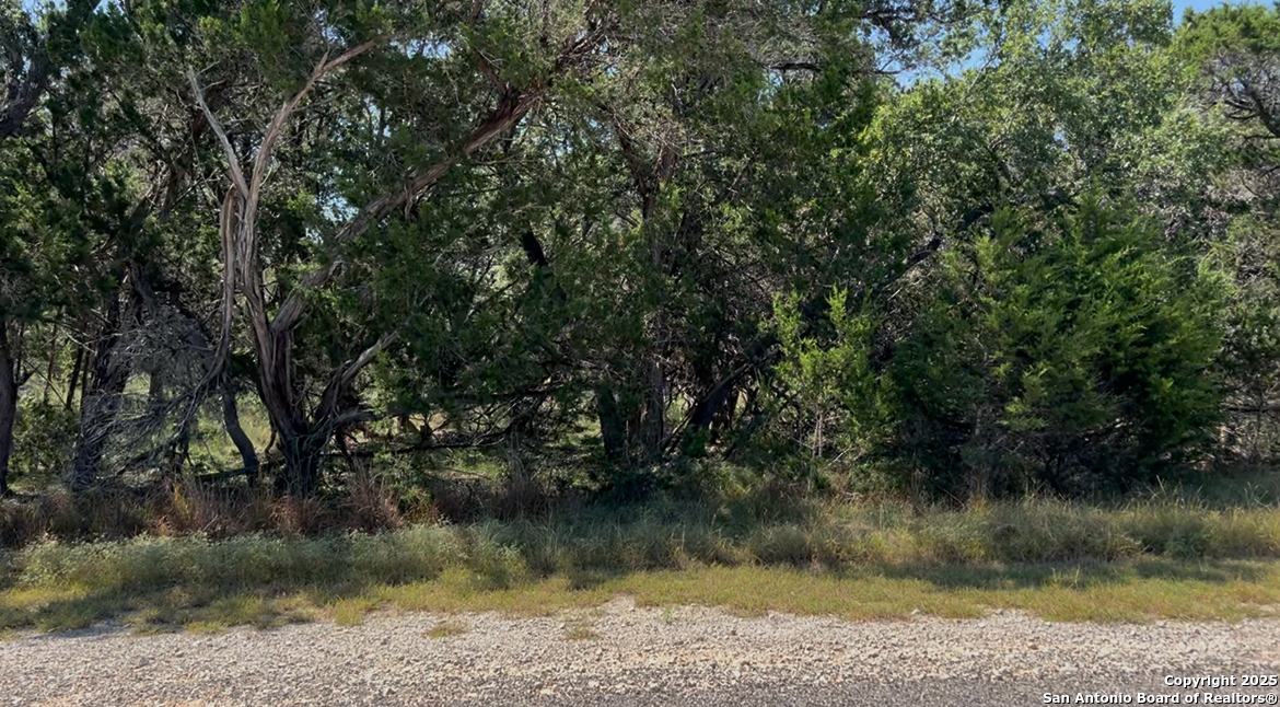 LOT 115 TBD Waterstone Parkway