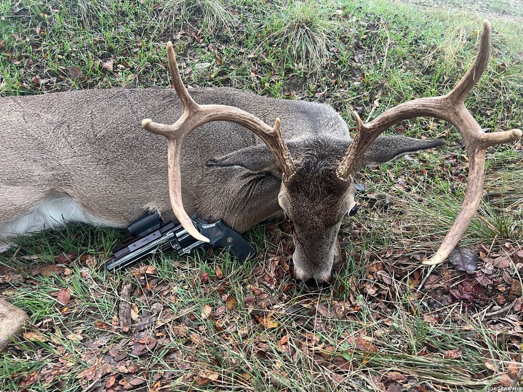 Photo of 330 Waring Welfare, Boerne, TX 78006 (MLS # 1934252)