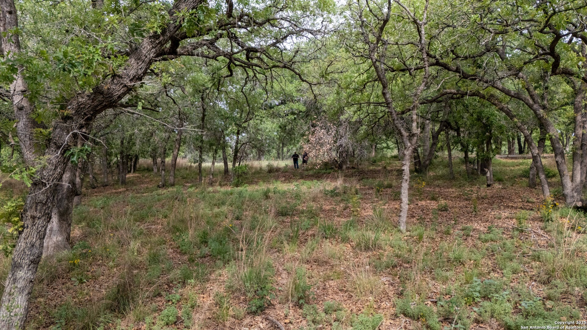 TBD Post Oak